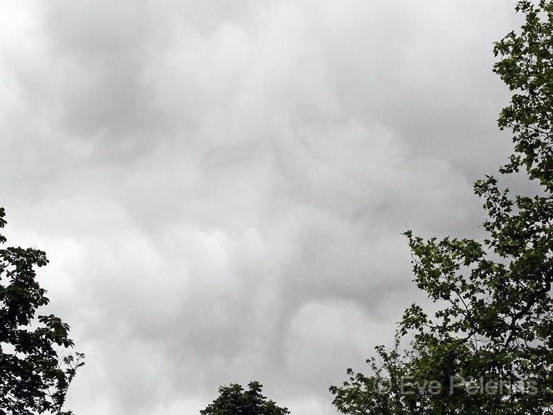Dans les nuages.jpg